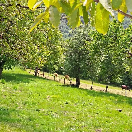 Ferienhaus Maison Landes - 4 Personnes *